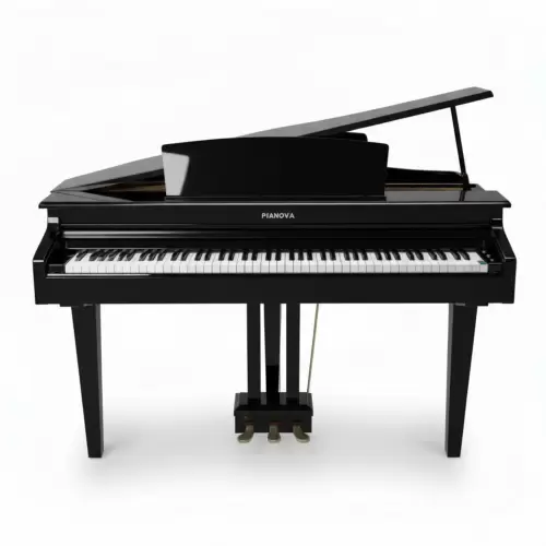 Цифровой рояль PIANOVA RG-110 Polish Black